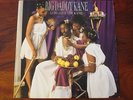 Big Daddy Kane. Long Live The Kane. NM- Hip-Hop LP