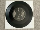 The Scene/Hey girl (won't you be mine)/reach for the top 45