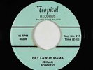 Rockabilly C&W Outsider 45 - Ronnie-D - Hey Lawdy Mama - Tropical - mp3 obscure