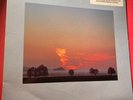 SHANKAR - Song for Everyone  ECM 1286 {nm WB promo] w/Zakir Hussain, Gurtu RARE