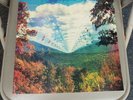 Tame Impala Innerspeaker 10 Year Anniversary Vinyl Edition 4-LP Record Box Set