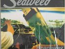 Seaweed ?– Spanaway (US 95, Hollywood Records ?– HR62009-1) Lp, OIS