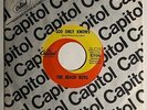 Beach Boys / God Only Knows & Wouldn't It Be Nice / '66 45 Etched numbers / NM