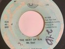 Rare Ohio Garage 45/ Next Of Kin 