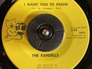 The Kandells 45 GARAGE ROCKER I Want You To Know LISTEN MONSTER RARE VG++
