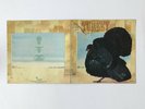 Turkey, Wild Turkey, Vinyl LP, CHR 1010, Porky, Peckie Etching, EX+/EX