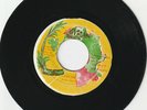 KILLER DIGI ROOTS AFRICAN BUSH LABEL PUBLIC SERVANT 