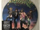 Sloppy Seconds Destroyed picture disc vinyl punk rock RARE 1989 on Last Resort