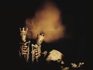 Riot Act - Pearl Jam (Sony Music CMG) Vinyl 12