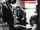 TANK - SINGLE COLLECTOR   Crazy horses / 	Filth Bitch Boogie -  NM