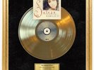 Selena - Dreaming Of You Vinyl Record Framed Fan Art Decor Beautiful Display
