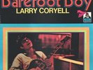 Larry Coryell Barefoot Boy NEAR MINT Flying Dutchman Vinyl LP