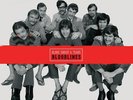 Bloodlines - Blood, Sweat & Tears 200g Vinyl 4 LP Box Set Analogue Productions