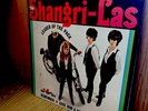 THE SHANGRI-LAS LEADER OF THE PACK ORIGINAL 1965 MONO RED BIRD ROCK LP