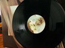 Cocteau Twins Vinyl Treasure Original Irish Pressing