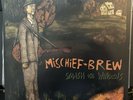 Mischief Brew - Smash The Windows LP Erik Petersen Folk Punk