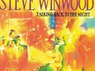 Steve Winwood - Talking Back to the Night
