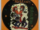 THE BLACK CROWES Jealous Again 1990 UK 12