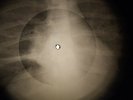 Wanda Jackson - Let's Have A Party X-RAY OF THE USSR X-RAY BONES RECORD