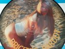 Brigitte Bardot ?– And God Created The Woman Scarce Picture LP 1983