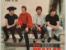 The Beatles 45 TICKET TO RIDE/YES IT IS QMSP 16378 GREAT  Italy EXCELLENT