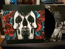 Deftones Self Titled Skull and Roses Vinyl LP RARE NM newest pressing