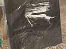 Bill Evans Undercurrent Mobile Fidelity MFSL MOFI Vinyl LP Sealed/NEW Numbered