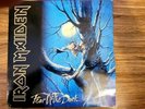 IRON MAIDEN -FEAR OF THE DARK - VINYL RECORD 1992