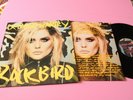 Debbie Harry LP Rockbird Orig Italy 1986 EX+ Promo Edition Cover Art Andy Warhol