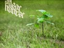 DEAR HUNTER-ACT II: THE MEANING OF & ALL THINGS REGARD (US IMPORT) VINYL LP NEW