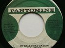 Roots Reggae - MY BALL HEAD AKEKIN - BOBBY AITKEN - PANTOMINE 7