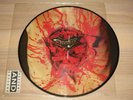 Dismember Picture LP - Indecent And Obscene /1993 German Nb 077-1 Press IN Mint