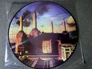 Pink Floyd - Animals Picture Disc (Vinyl LP) EMI Dutch Import
