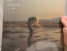 PHOEBE BRIDGERS - Copycat Killer Vinyl LP (Green Mountain Blast Color) In Hand