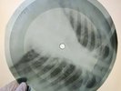 LED ZEPPELIN I CANT QUITE YOU  X-Ray USSR Record Roentgen Bones Ribs Music Vinyl