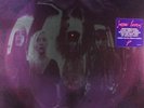 The Smashing Pumpkins Gish New 180 gram LP Vinyl Record Album [Current Pressing]