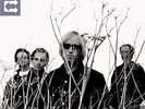 Tom Petty And The Heartbreaker - Echo