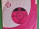 THE PRIMITIVES YOU SAID FREAKBEAT MOD 1965 PYE 45RPM SINGLE RARE