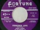 FORTUNE 537 Jimmy Burke Orig R&B Doo Wop 45 Mint Minus Forbidden Love