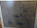 Inspiral Carpets. The Peel Sessions. Signed. Strange Fruit. A1 B1 Ex