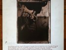 VINYLE 33T LP / Pixies – Surfer Rosa