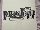 The Prodigy - Experience - 2 x Vinyl LP *NEW & SEALED*