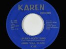 Funk 45 - Jimmy Soul Clark - I Blew A Good Thing - Karen - mp3