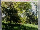 Cat Power - You Are Free Original Vinyl Album 2003