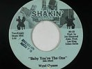 Modern Soul Boogie 45 - Wynd Chymes - Baby You're The One - Shakin' - mp3 rare