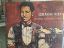 Screaming Trees Last Words: The Final Recordings LP