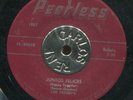 LOS FREDDYS happy together SPANISH COVER Garage Mexico LALO GUERRERO —LISTEN