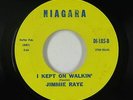 Northern/Deep Soul 45 - Jimmie Raye - I Kept On Walkin' - Niagara - mp3