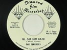 Northern Soul 45 - Terrifics - I'll Get Him Back - Diamond Jim - VG++ mp3 rare
