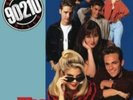 V/A: BEVERLY HILLS 90210 (LP vinyl *BRAND NEW*.)